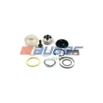 SET REPARATIE V. DAF 85.95 XF