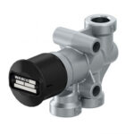 BUTON NEGRU GOLIRE